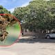 Dos adultos mayores son atacados por enjambre de abejas en la colonia Las Amapolas de Hermosillo