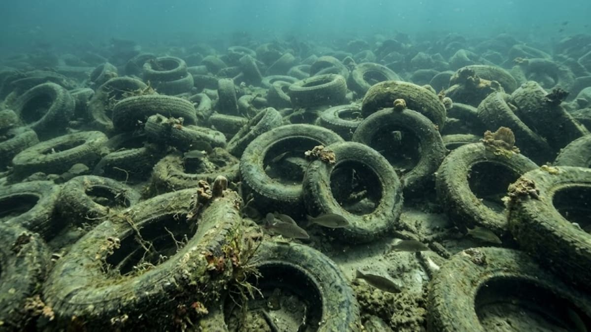 Hace más de 50 años hundieron casi dos millones de neumáticos para crear un arrecife artificial en Florida, pero el proyecto fracasó y más de 500 mil siguen contaminando el fondo del mar