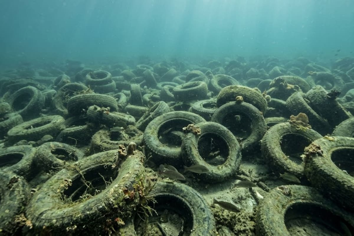 Hace más de 50 años hundieron casi dos millones de neumáticos para crear un arrecife artificial en Florida, pero el proyecto fracasó y más de 500 mil siguen contaminando el fondo del mar