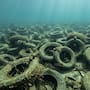 Hace más de 50 años hundieron casi dos millones de neumáticos para crear un arrecife artificial en Florida, pero el proyecto fracasó y más de 500 mil siguen contaminando el fondo del mar