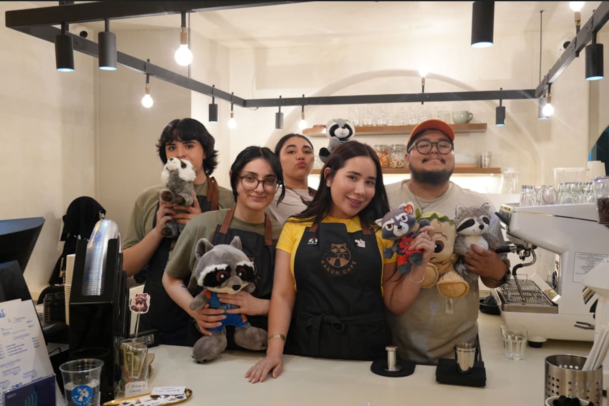 Rakún Café: un espacio inspirado en mapaches llega a Tijuana