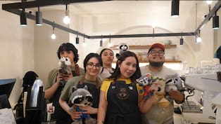 Rakún Café: un espacio inspirado en mapaches llega a Tijuana.