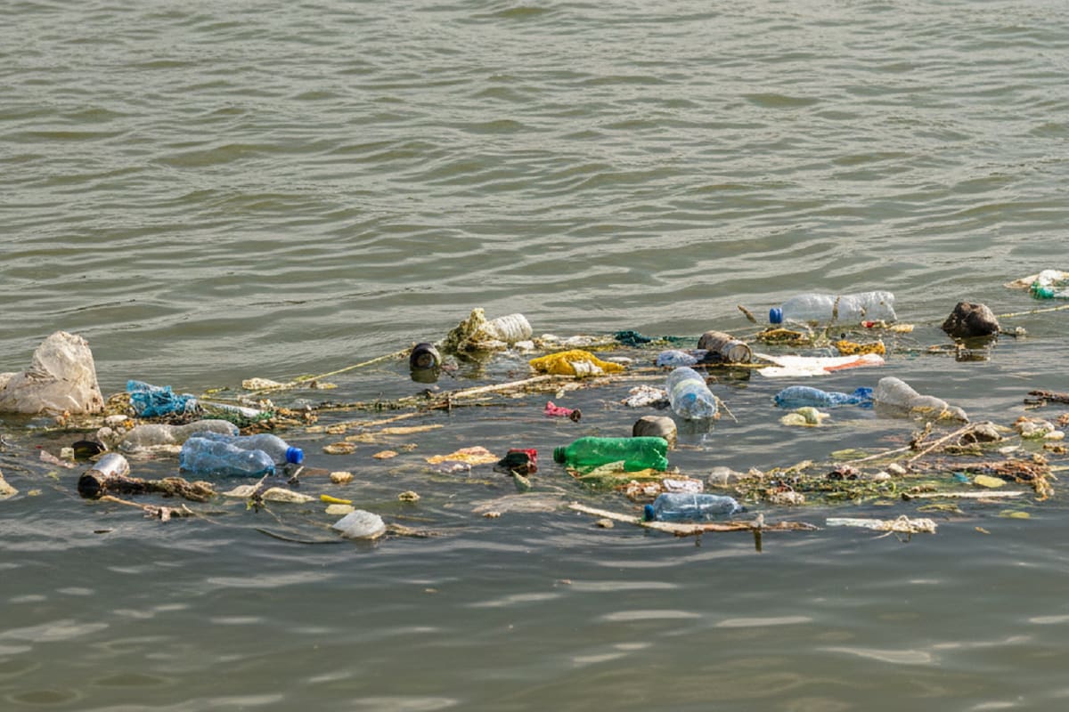 Es prioridad tratamiento del agua y limpieza del Río Tijuana