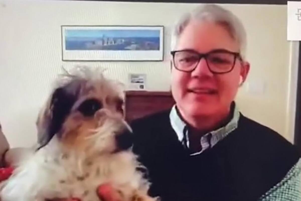 Profesor presume a sus perritos durante sus clases virtuales