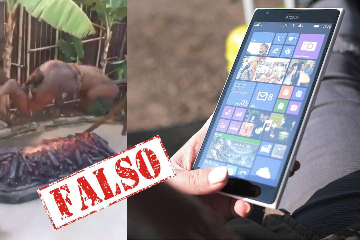 Desinformación en redes: Video de canibalismo en Haití es desmentido