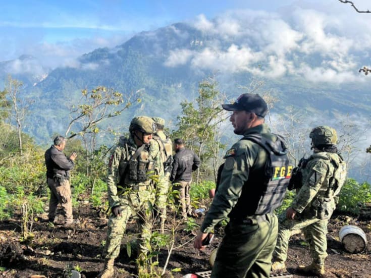 Más de 24,000 plantas de marihuana arden en Chiapas: operativo interinstitucional reduce a cenizas sembradíos ocultos