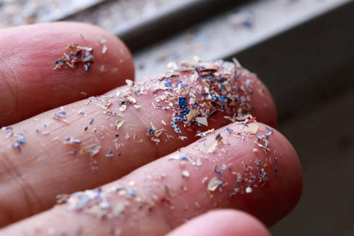 Botella de agua contiene en promedio 250 mil partículas de nanoplástico revela estudio
