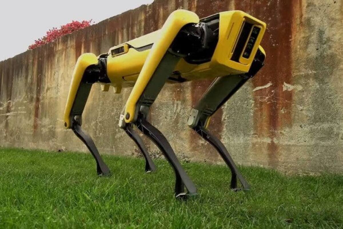 Los perros de Boston Dynamics ya pueden pastorear ovejas