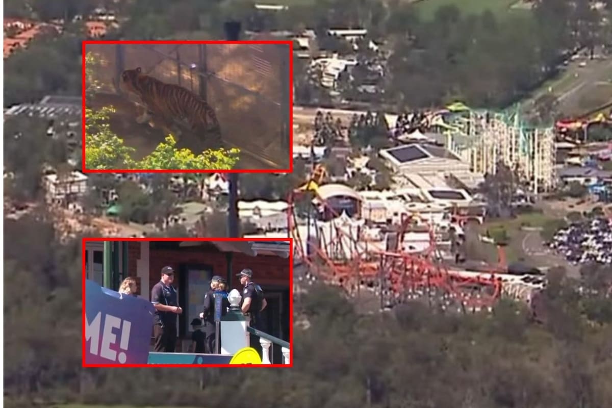 Tigre ataca a cuidadora en el parque temático Dreamworld, Australia
