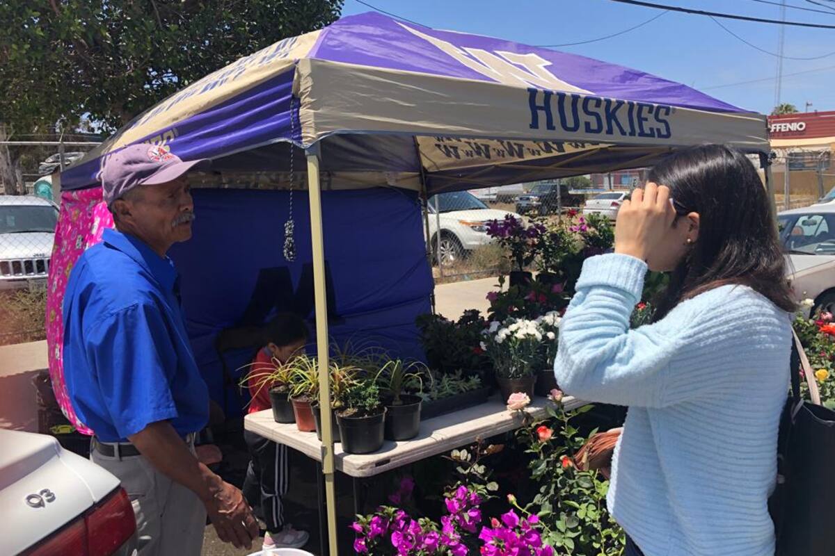 Esperan incremento de ventas floristas de Rosarito