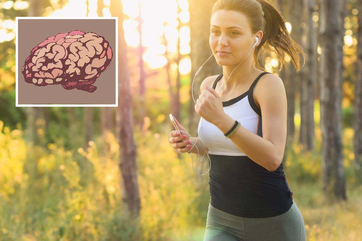 ¿El cerebro pone obstáculos con tal de no hacer ejercicio?