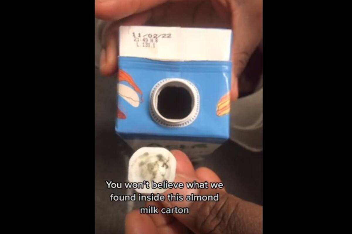 Mujer halla un animal dentro de un cartón de leche