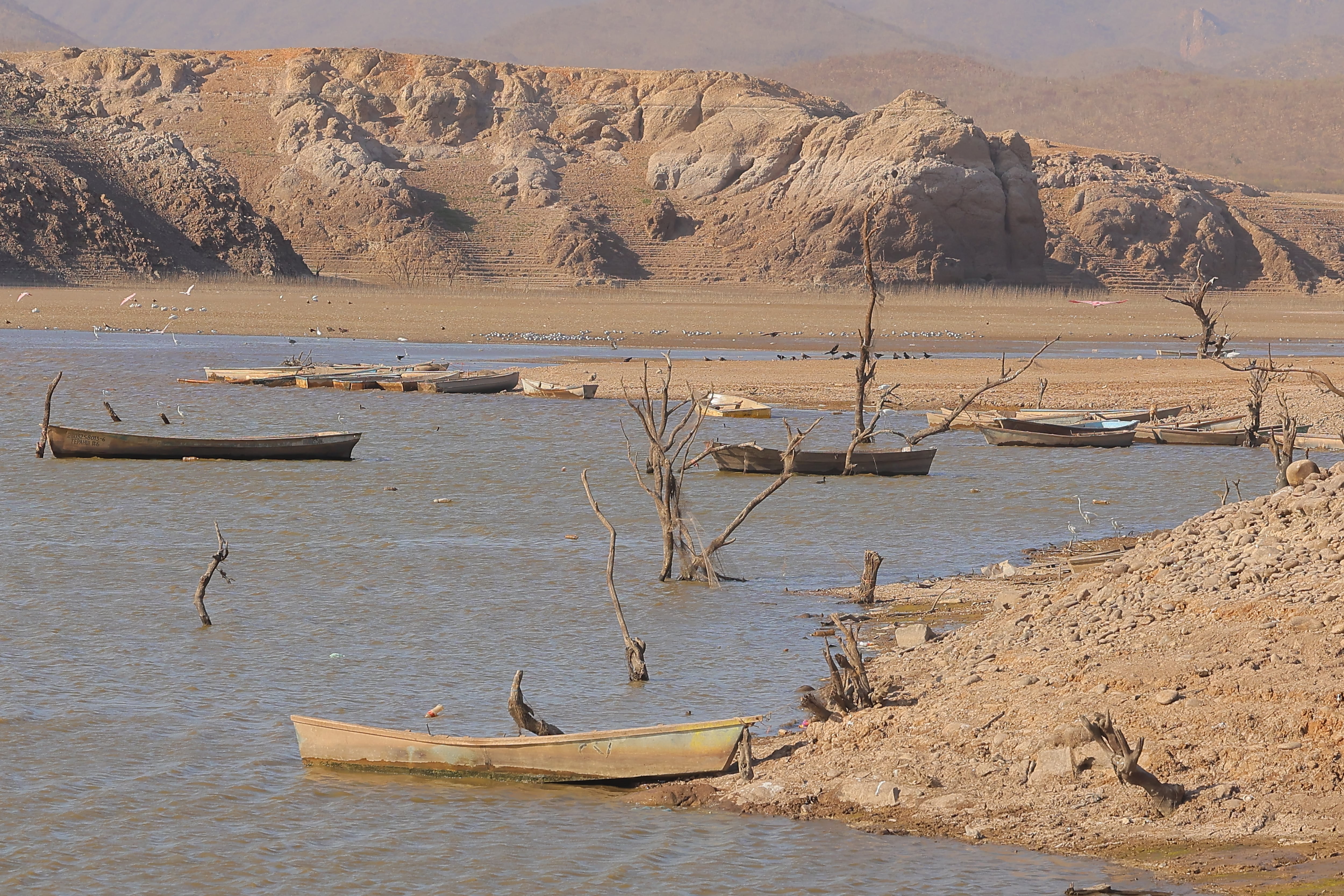 Un ciclo del agua más extremo aumenta la posibilidad de sequía o de lluvias torrenciales. | FOTO: BANCO DIGITAL