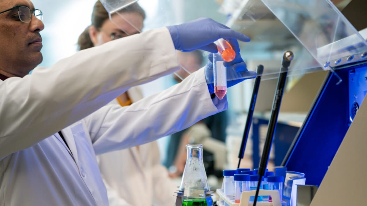 Científicos lograron revertir el deterioro cognitivo al estimular los mecanismos de reparación del cerebro. /División de Marketing y Comunicaciones de la Universidad Texas A&M