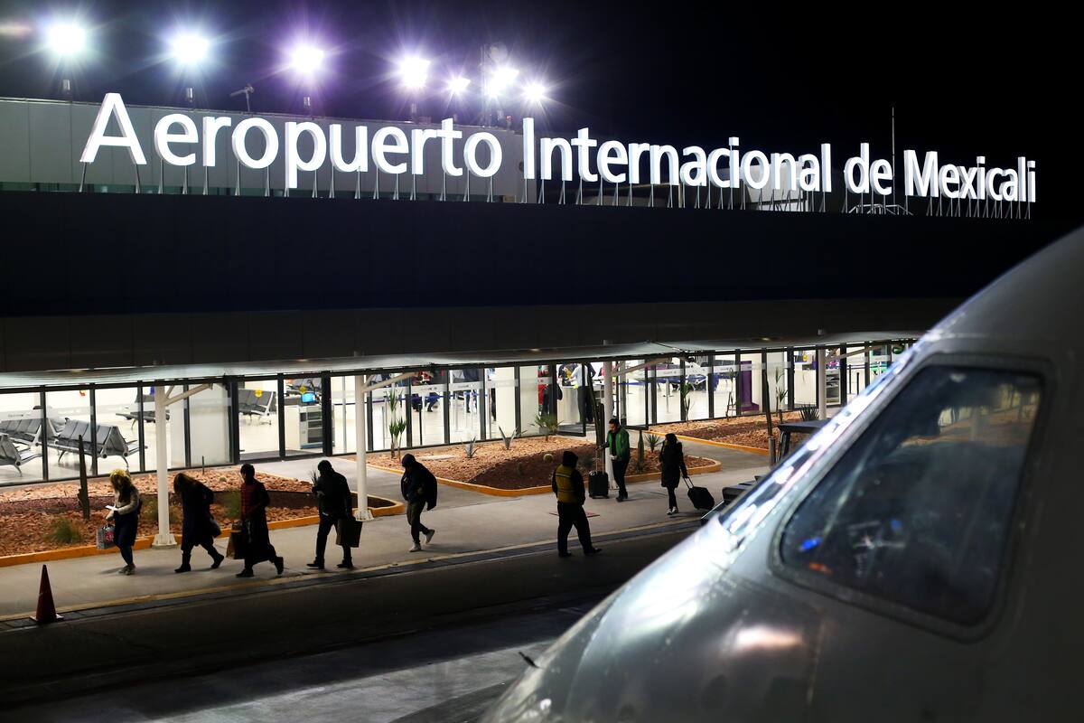BC levanta el vuelo en el 2019
