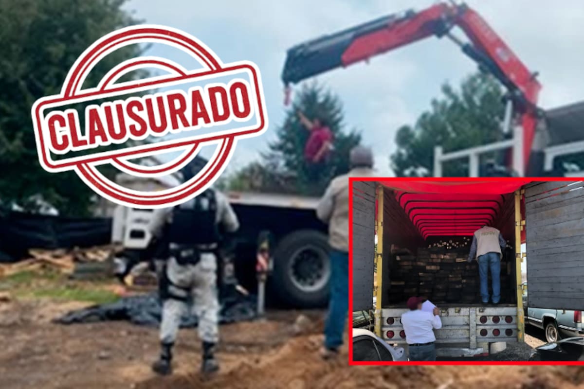 Desmantelan aserradero clandestino en Morelos: Profepa y Guardia Nacional aseguran madera, maquinaria y detienen a dos personas