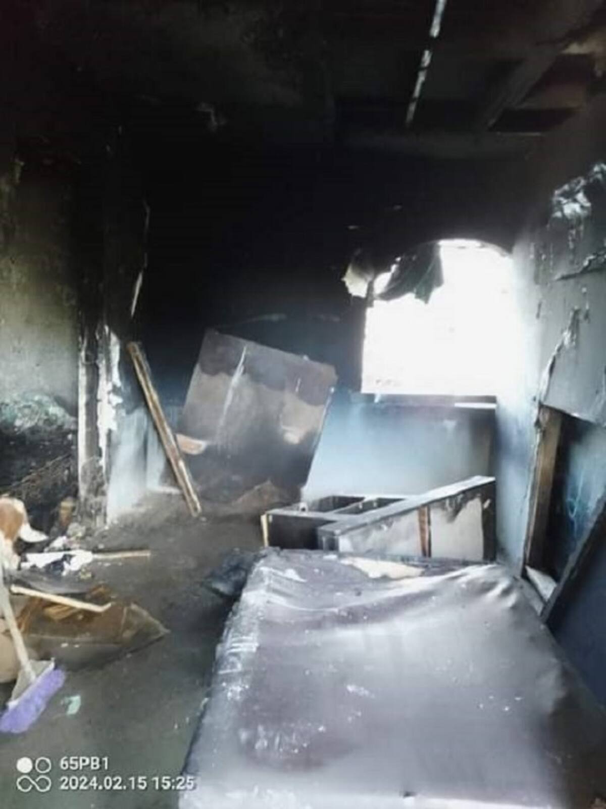 Así quedó la casa que fungía como refugio para perros.