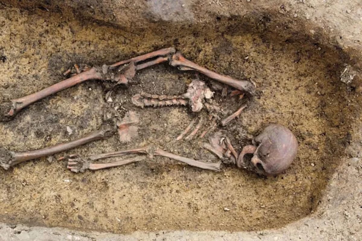 Descubrimiento de 50 esqueletos vikingos bien conservados en Dinamarca revela nuevas pistas sobre la Era Vikinga