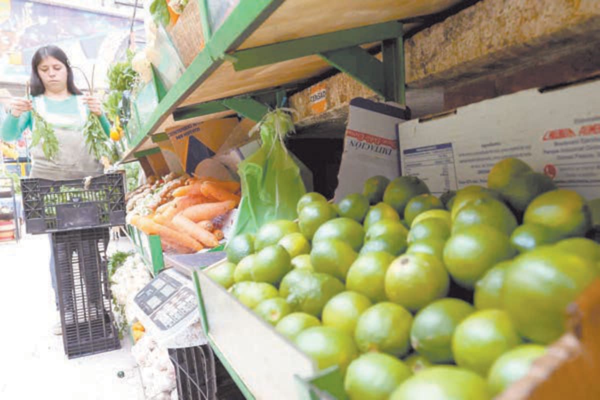 ¿Existen alianzas entre CARTELES en Michoacán para extorsionar a los limoneros? Esto revelan las autoridades