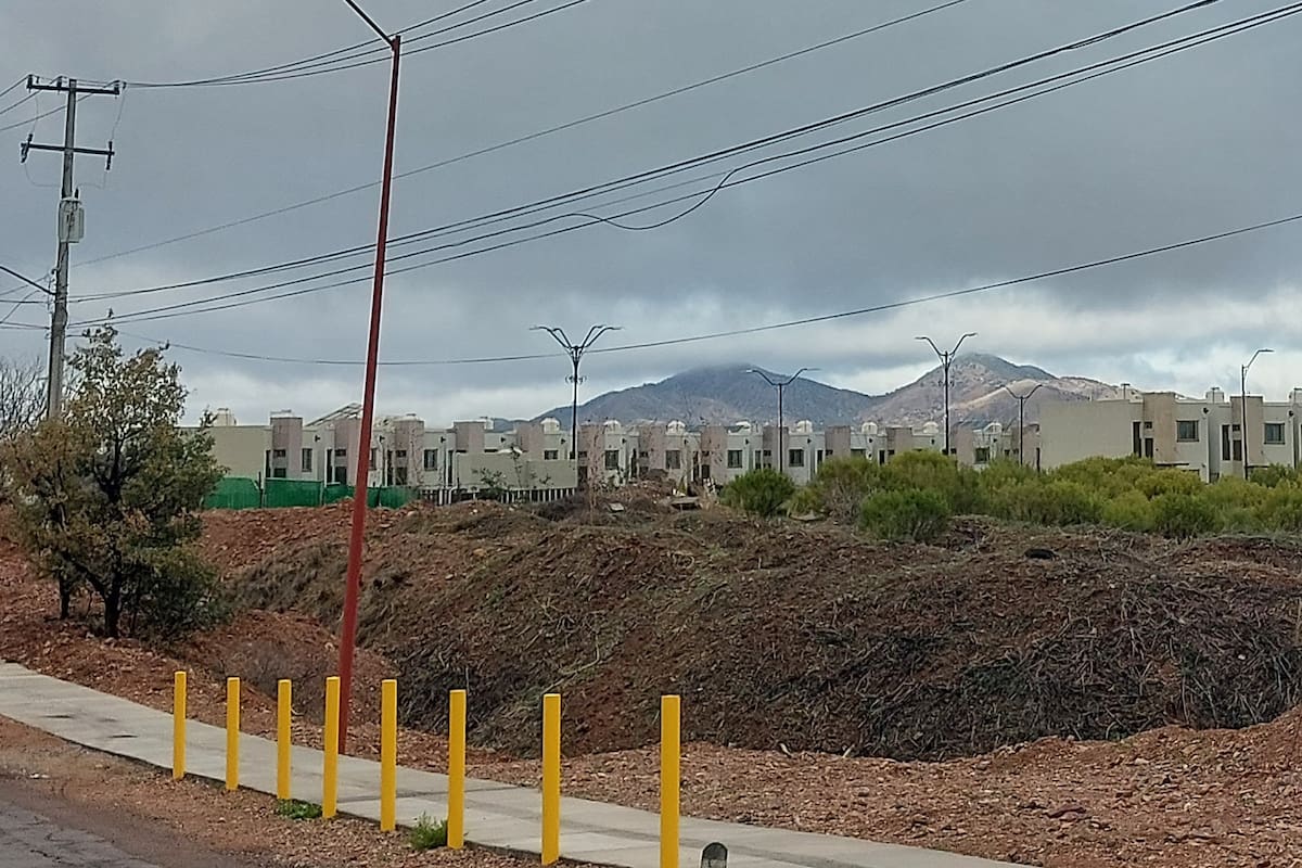 Impactan “rentas por las nubes” la economía de nogalenses