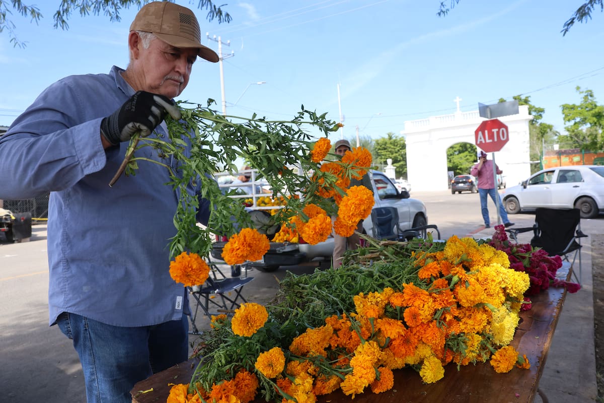 Flores para Día de Muertos mantienen su precio en Hermosillo