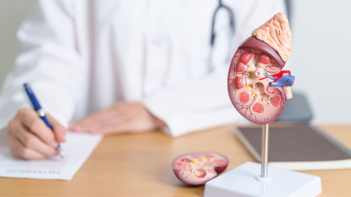 Factores como la genética, lesiones, medicamentos y enfermedades como la diabetes, aumentan el riesgo de enfermedades renales | Foto: ilustrativa