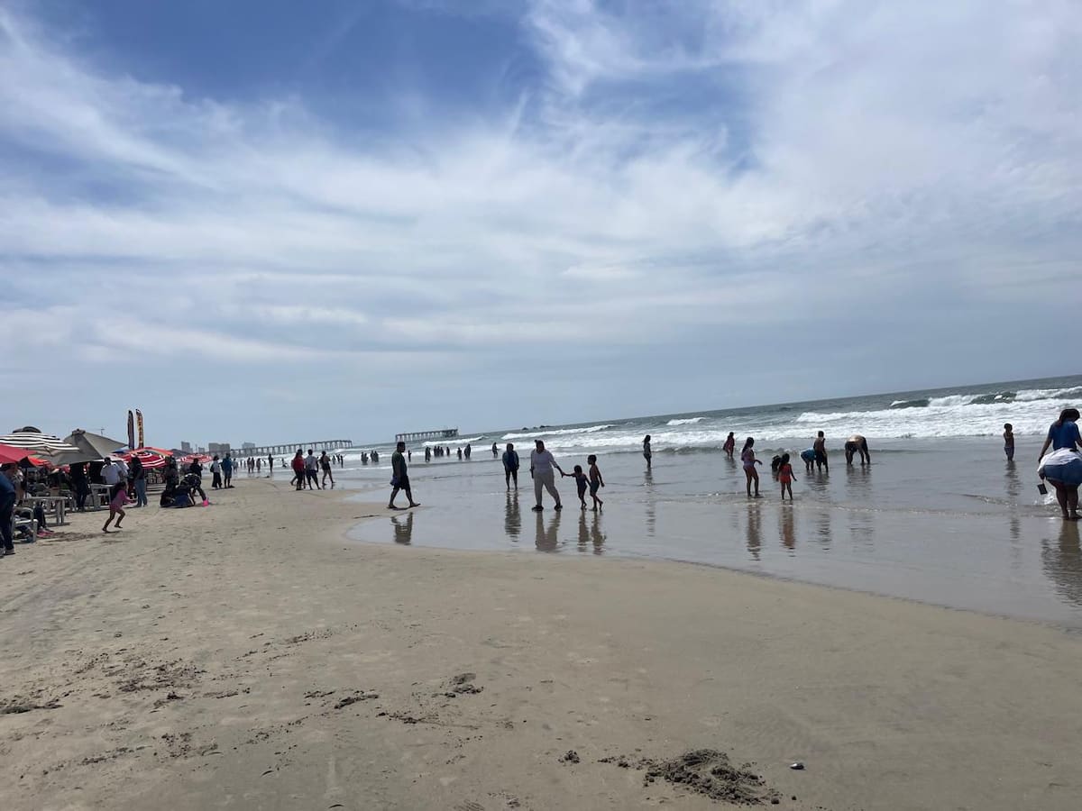 Foto: Carmen Gutiérrez