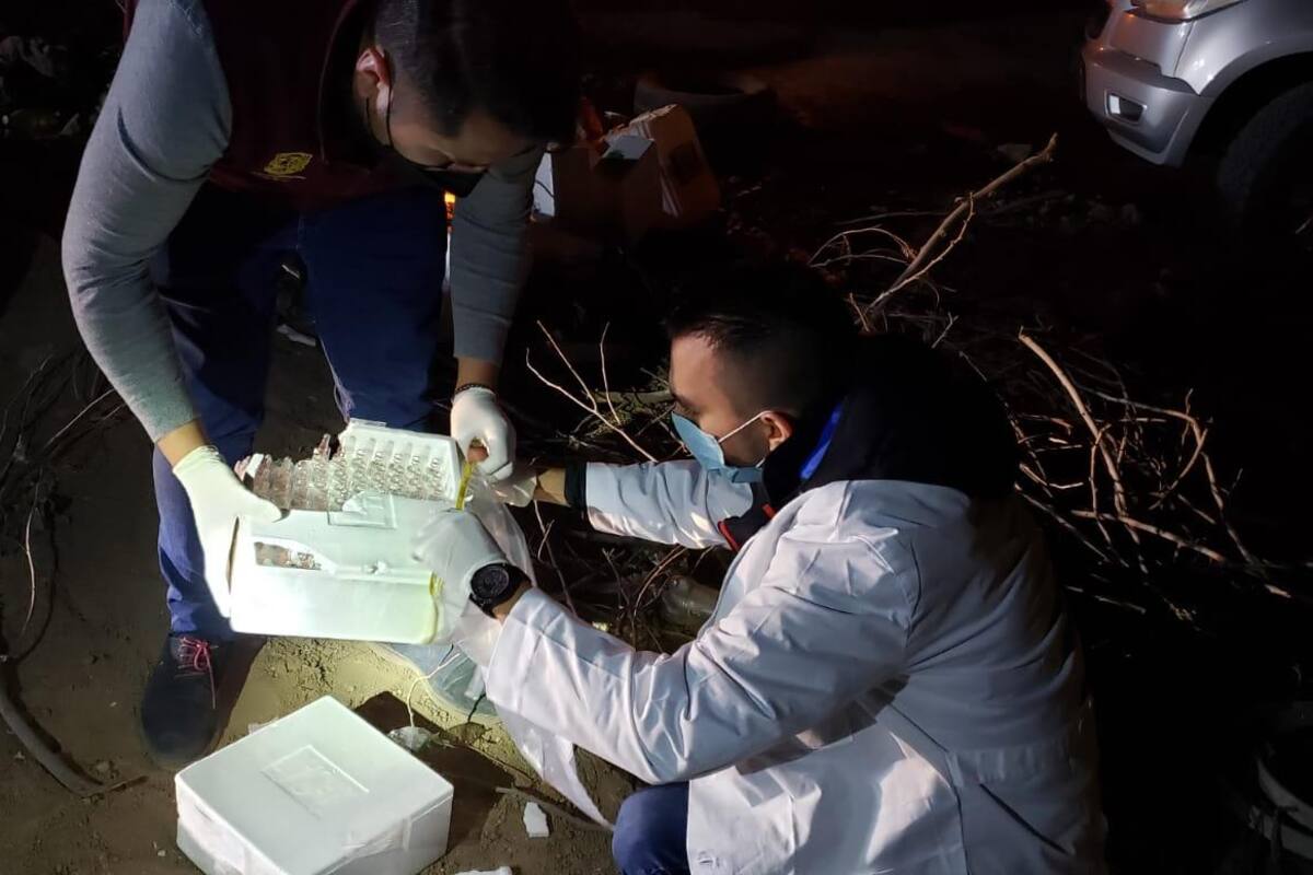 Atiende COEPRIS denuncia sobre medicamento desechado en vía púlica