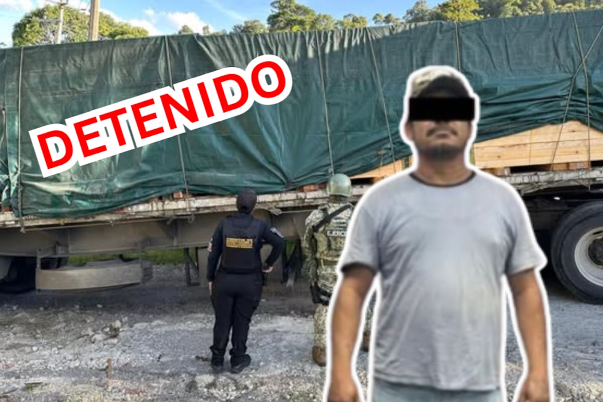 Detienen en Chiapas a hombre con más de 4 mil piezas de madera de pino; lo acusan de ecocidio