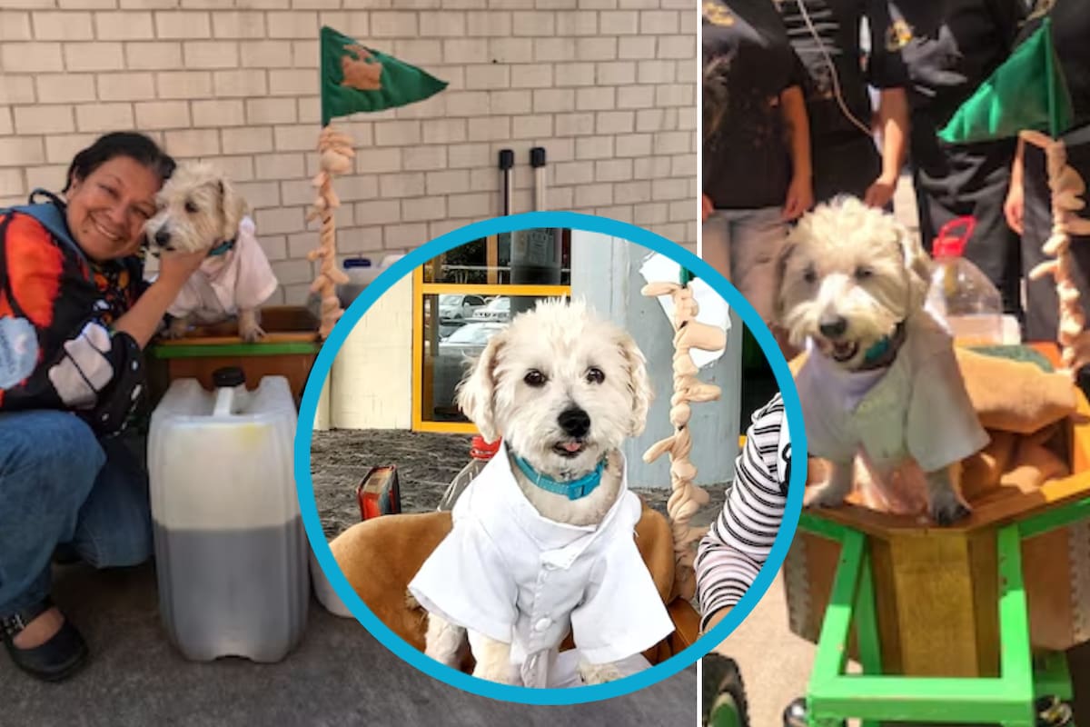 Salmy, el héroe de cuatro patas que ayuda a reciclar aceite en la UNAM