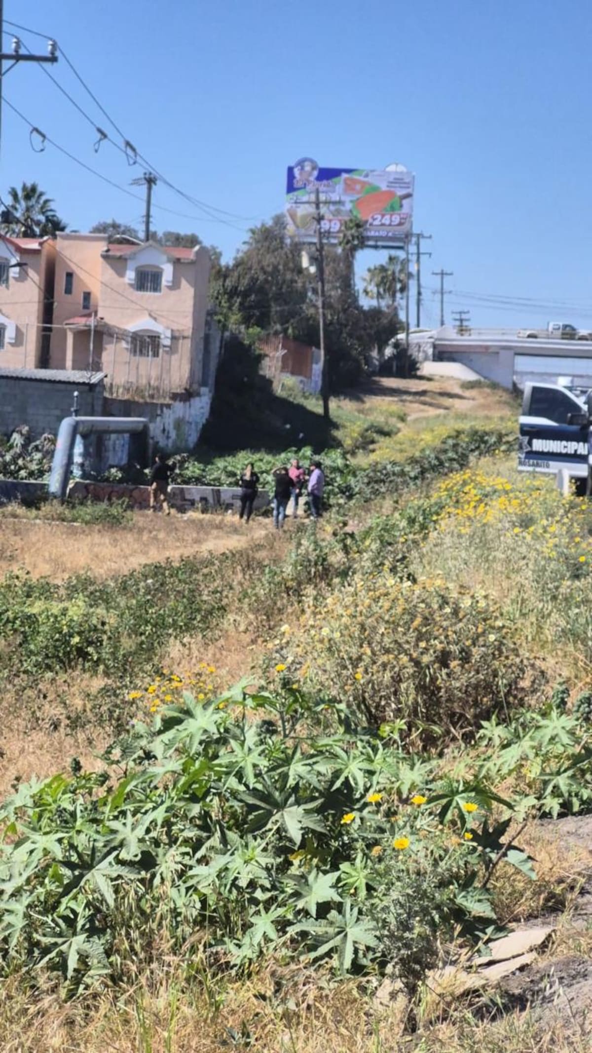 Foto: Carmen Gutiérrez