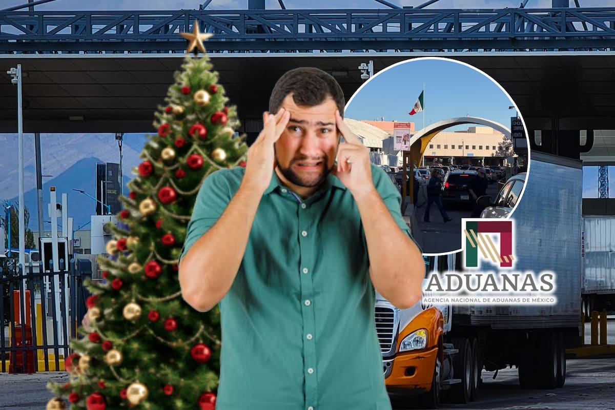 Si regresarás a México para las fiestas navideñas deberás cuidar si no traes estos alimentos prohibidos para entrar al País