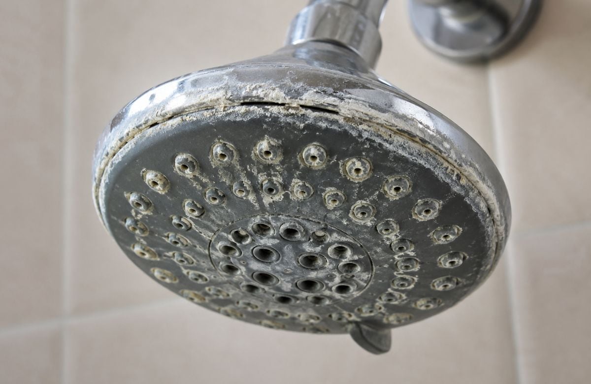 El truco casero que ayuda a recuperar la presión de la regadera al remover el sarro acumulado en los orificios del cabezal | Foto: IA