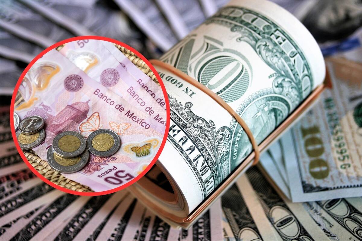 Peso mexicano se aprecia frente al dólar en México: Así se cotiza el tipo de cambio hoy miércoles 12 de febrero de 2025