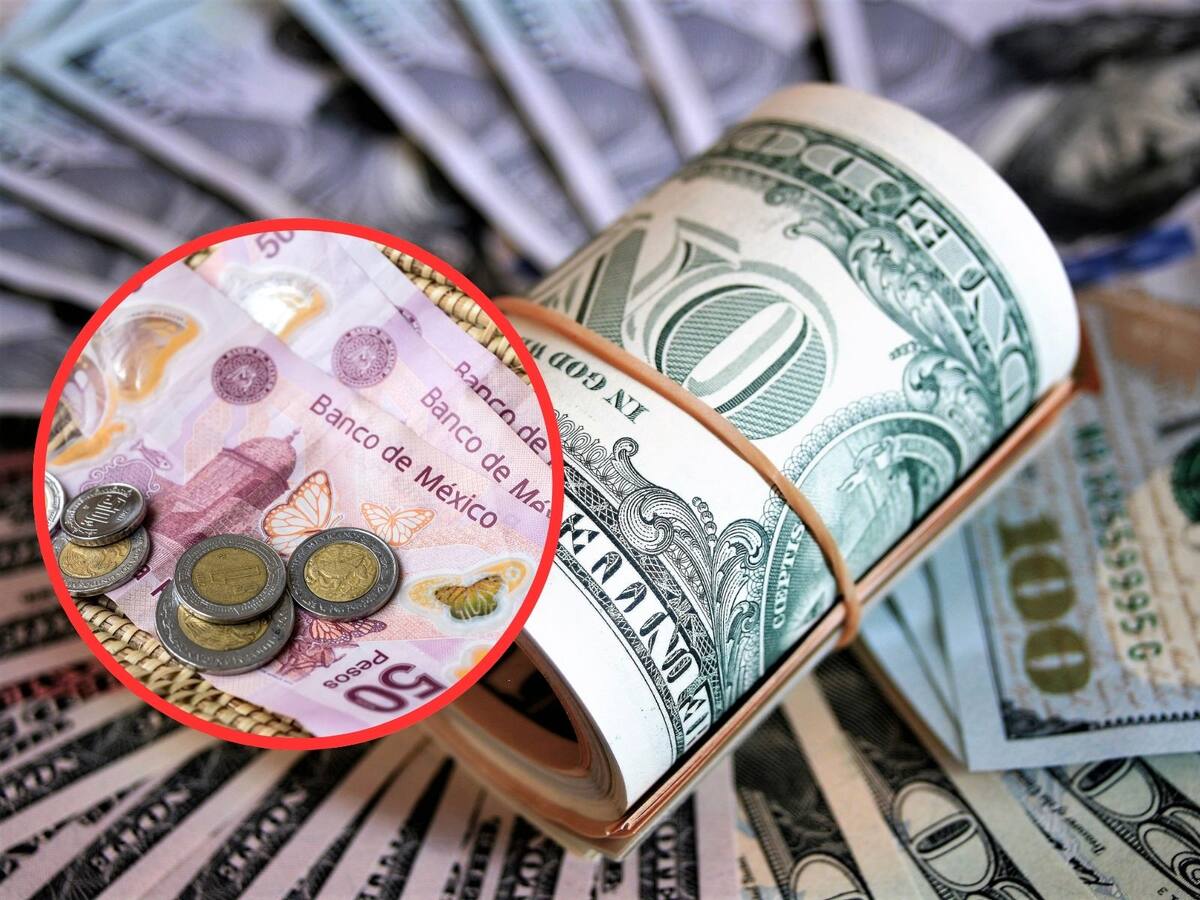 Dólar vs Peso: ¿En cuánto se cotiza el dólar hoy? | Crédito: Canva