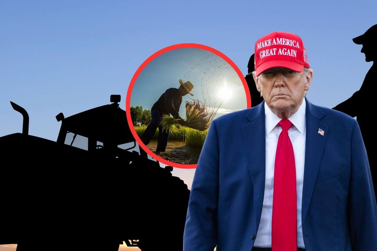 Trump: Aranceles a productos agrícolas “externos” entrarán en vigor el 2 de abril; pide a agricultores de EU “prepararse para producir mucho más”