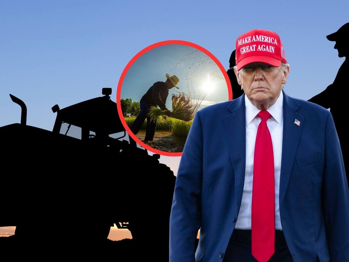 Trump impone aranceles a productos agrícolas extranjeros desde el 2 de abril. | Crédito: EFE/Canva