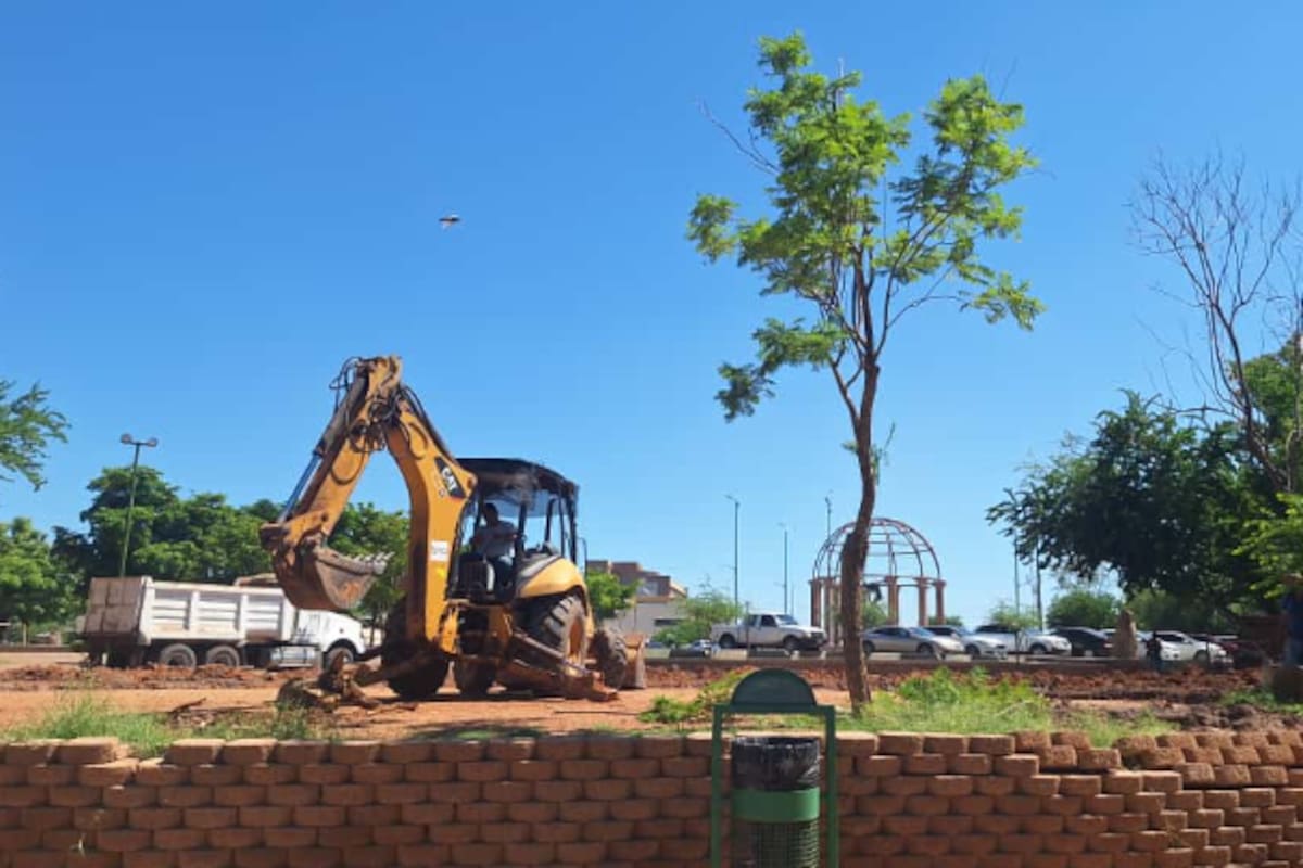 Reubicarán árboles de la Laguna del Náinari al Parque Infantil
