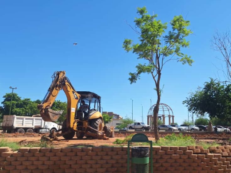 Reubicarán árboles de la Laguna del Náinari al Parque Infantil
