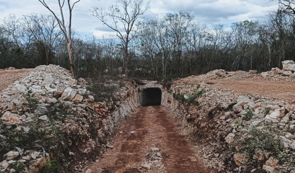 Profepa clausura proyecto turístico en Yucatán tras dañar 10,750 m² de selva y un cenote sin permisos, lo que podría derivar en multas, restauración ambiental obligatoria y sanciones penales para la empresa responsable. Foto: Profepa