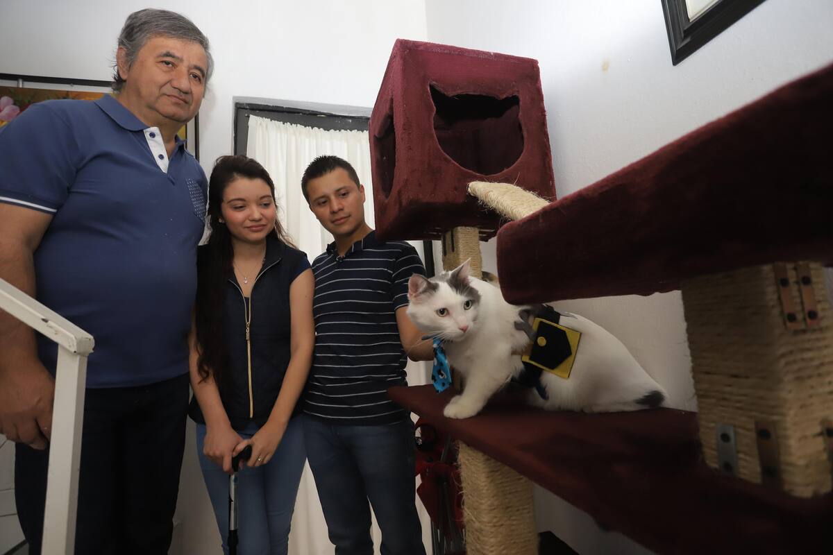 Violeta Garduño, Roberto Ocampo Portillo y el señor Eduardo Garduño Velázquez en "La carpintería de Tulio", quien aparece en la imagen con su cinturón de herramientas.