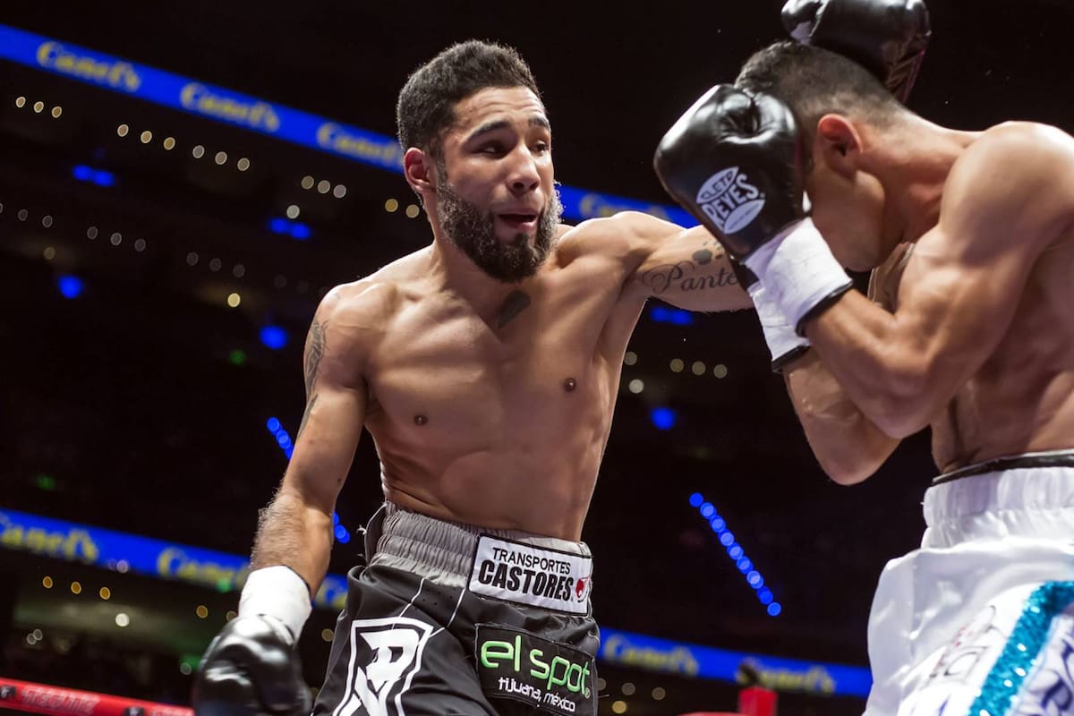 ¡A recuperar el orgullo! Luis “Pantera” Nery enfrentará a otro filipino tras caer seis veces ante Casimero y ser suspendido en Japón