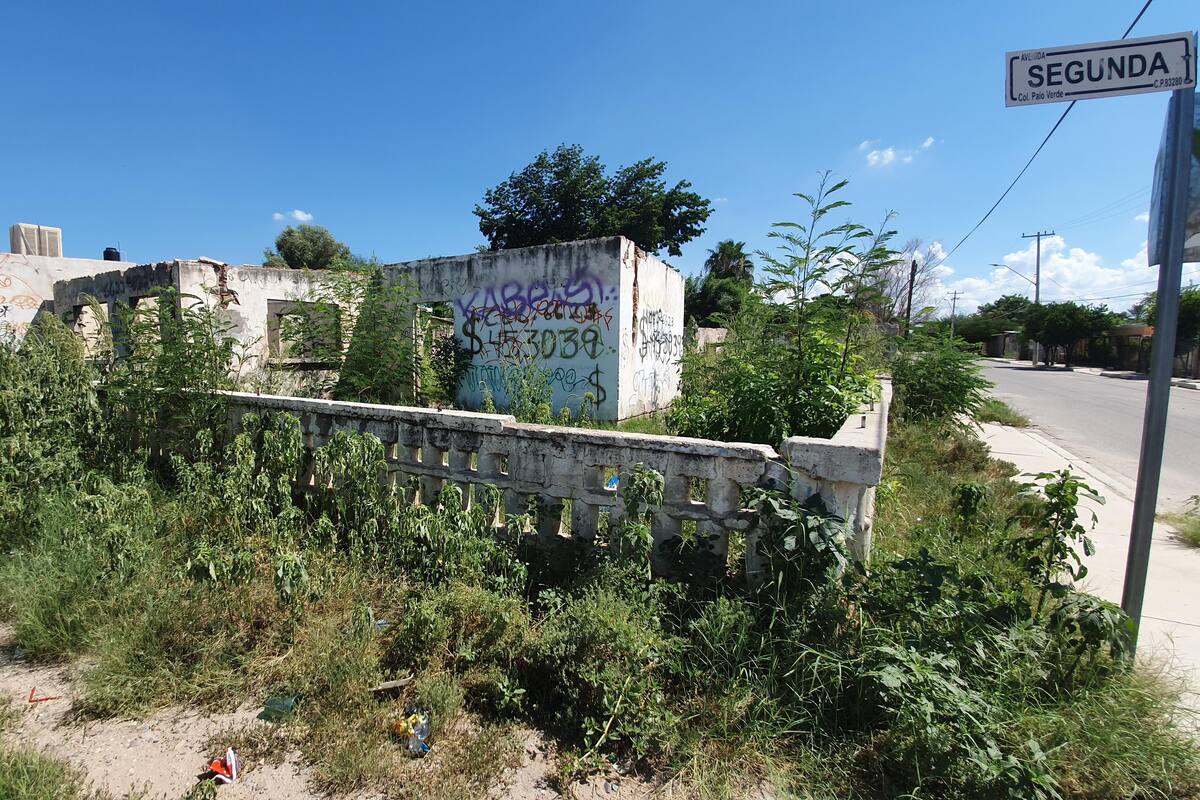 Batallan en el Palo Verde por baldío abandonado