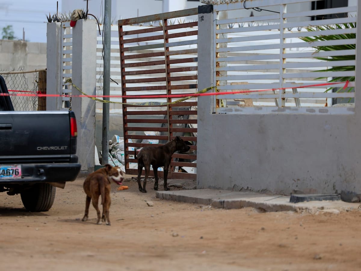 Foto: Juan J. Morales