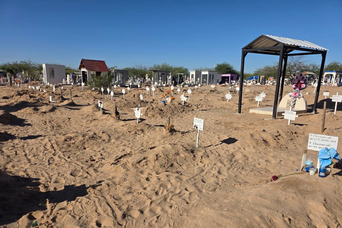 Zona de tumbas de desconocidos en SLRC recibe flor de cempasúchil