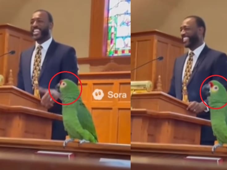 Perico da prédica junto a un pastor en plena iglesia y se vuelve viral