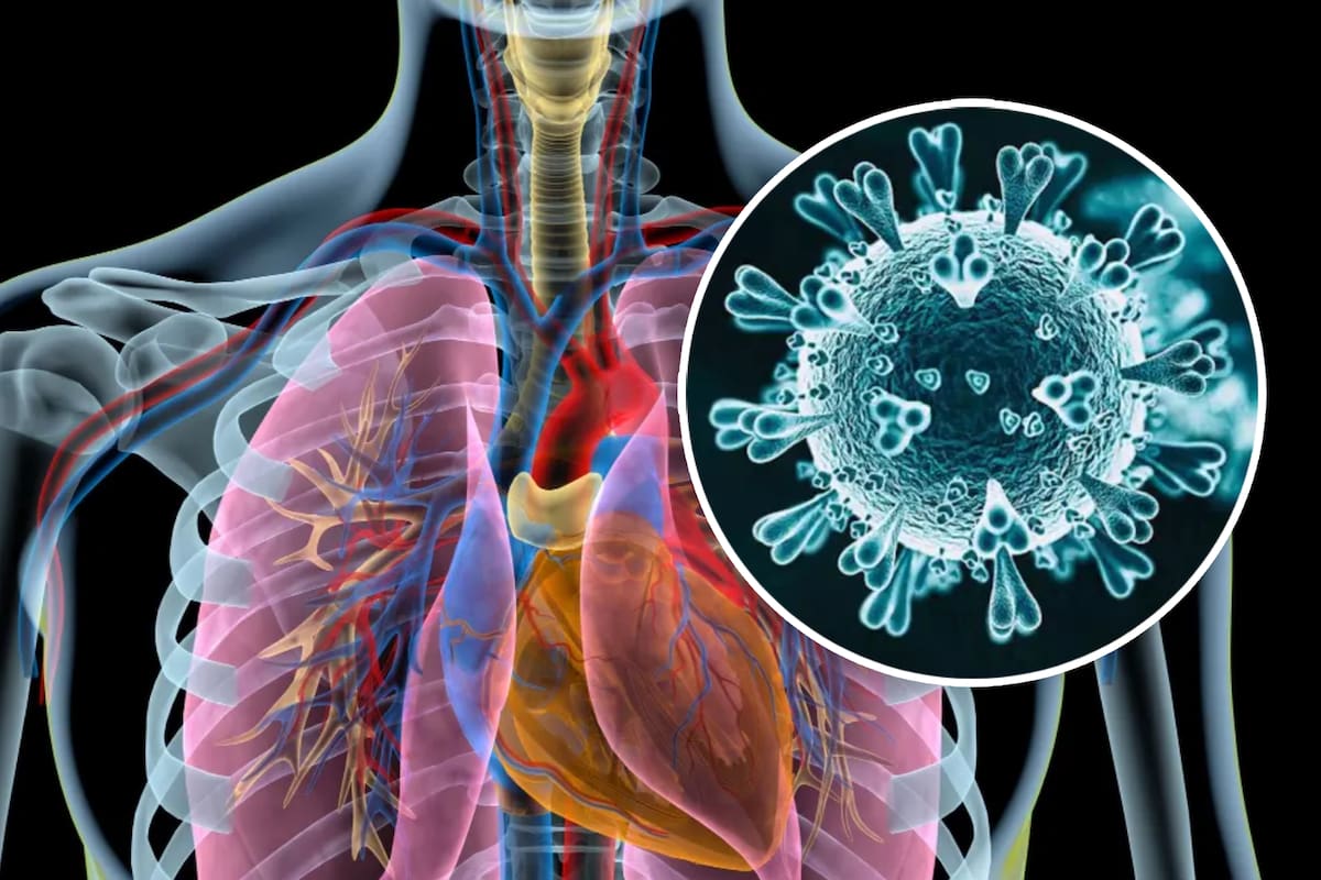 ¿Qué es el Metapneumovirus Humano? El nuevo virus en China que hace recordar al Covid