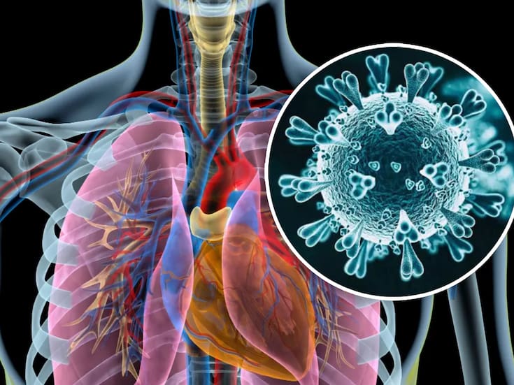 CDC confirma que las vacunas contra la COVID-19 siguen protegiendo a niños sanos de enfermedades graves, pese a cuestionamientos federales