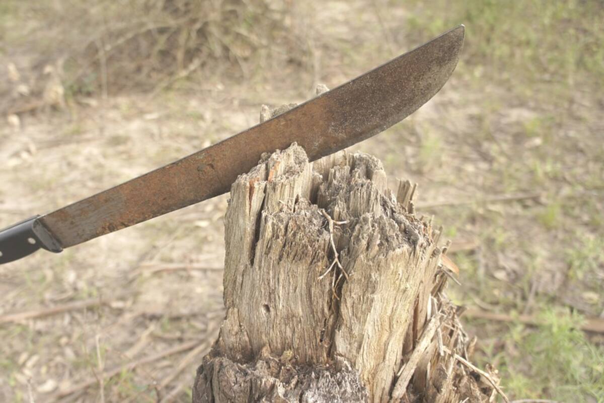 Caen 4 con machetes, cuchillo y solera