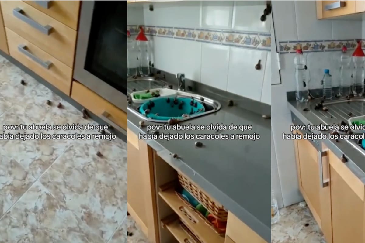 VIDEO: abuela deja en remojo los caracoles por demasiado tiempo y estos animales intentan escapar de ser cocinados
